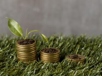 high angle three stacks coins grass with plants dirt scaled