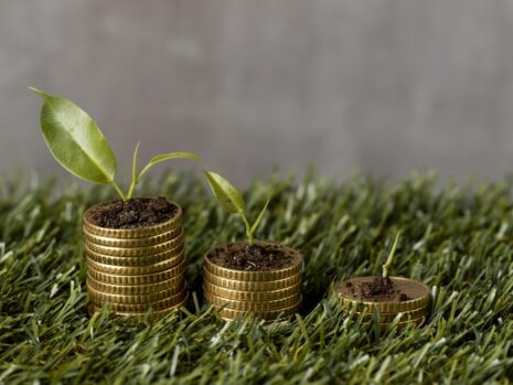 high angle three stacks coins grass with plants dirt scaled