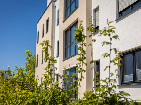 modern-residential-building-exterior-with-green-foliage-clear-blue-sky modern residential building exterior with green foliage clear blue sky scaled