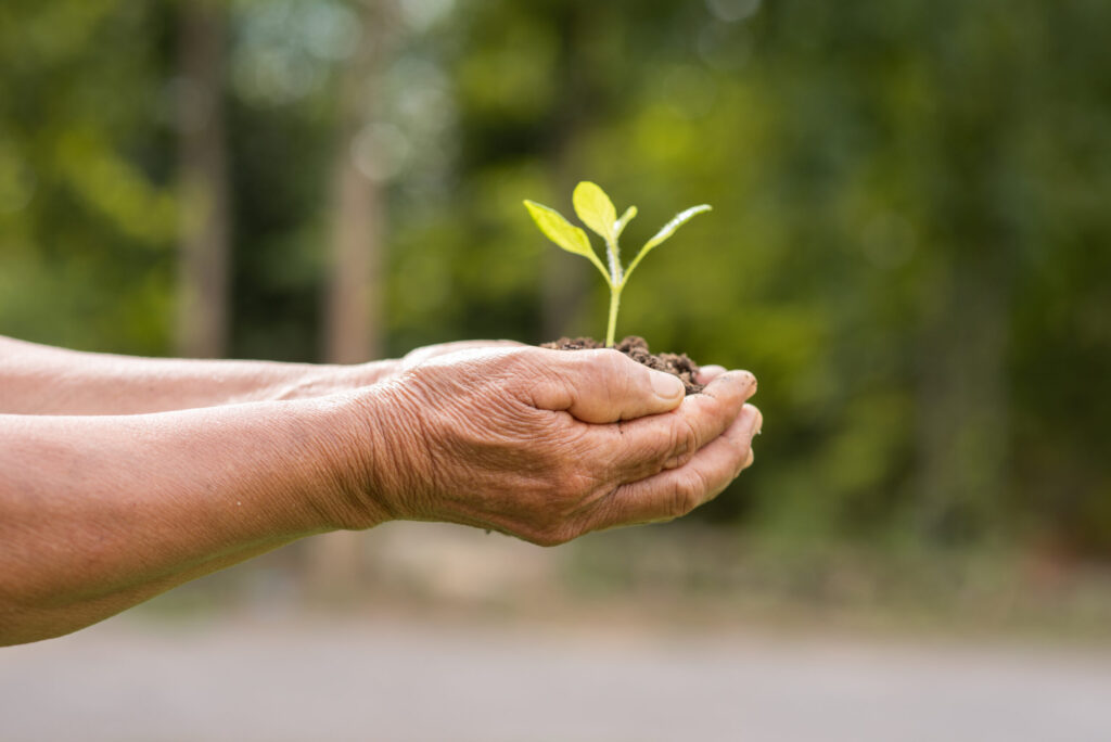 elderly person holding plant scaled